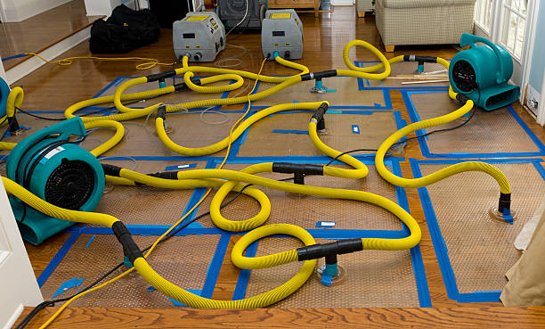 Professional Basement Flood Cleanup technician working in Boothbay, ME
